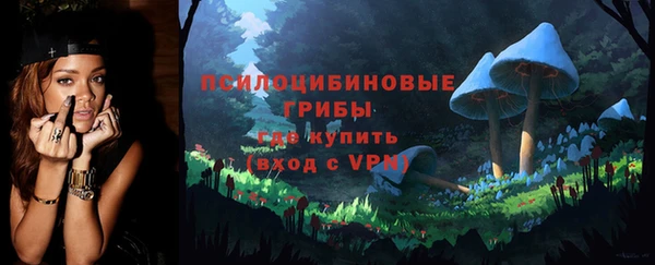 ешки Белокуриха
