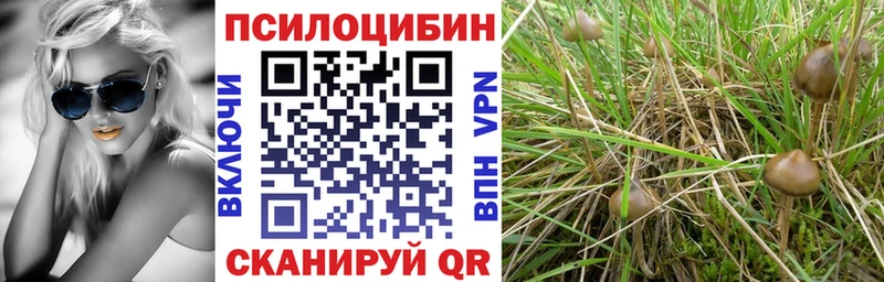 Галлюциногенные грибы MAGIC MUSHROOMS Выкса